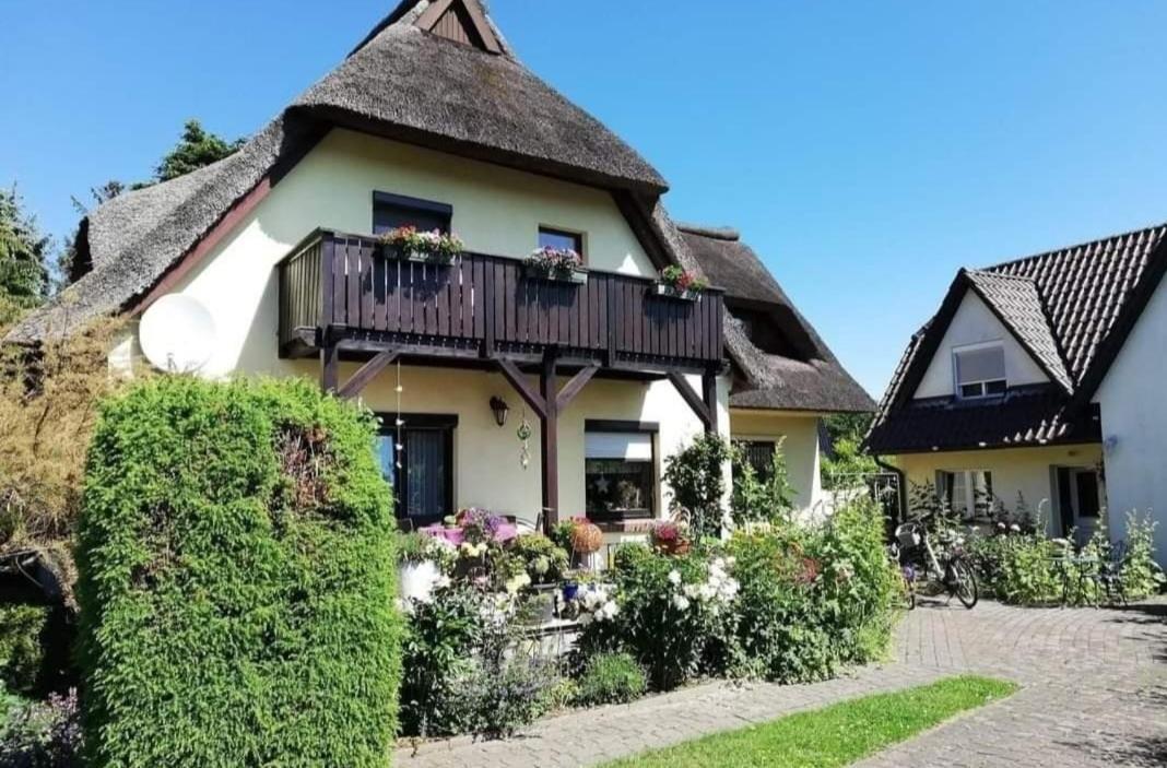 Apfelbluete Apartment Zingst
